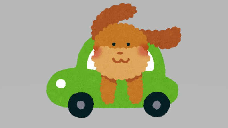 車の窓から…「犬が顔を出している」問題…