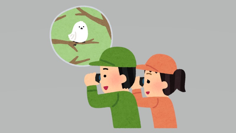 第80回愛鳥週間