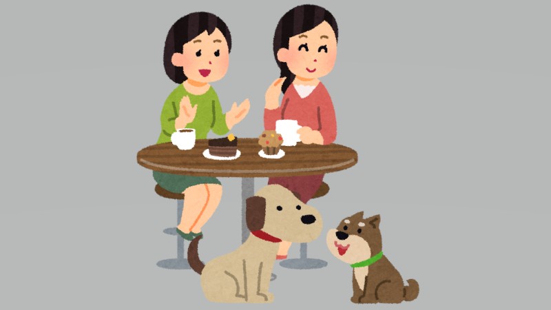 交流の場に｜京丹後にドッグカフェ…