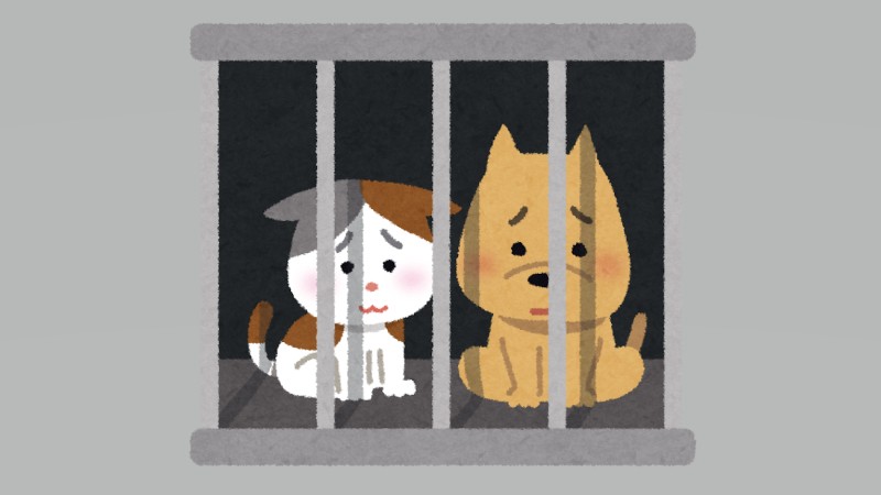 無視はできない…殺処分について…